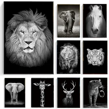 Абстрактни черно-белите животни, рисунки върху платно, Лъв, слон, зебра, щампи и плакати, стенни рисунки за всекидневна декор