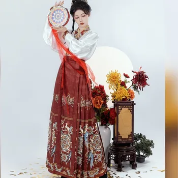 Оригинално женствена рокля Hanfu, женска пола Минг Dunhuang Horse Face, рокля Mamian за ежедневно пътуват до работа