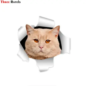 Три етикети Ratels C305 със собствени 3D британски короткошерстными котки, стикер на кухненско огледало, стикер на стената на автомобила